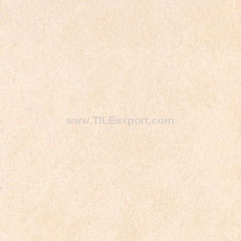 Floor_Tile--Ceramic_Tile,600X600mm[HT],H6920